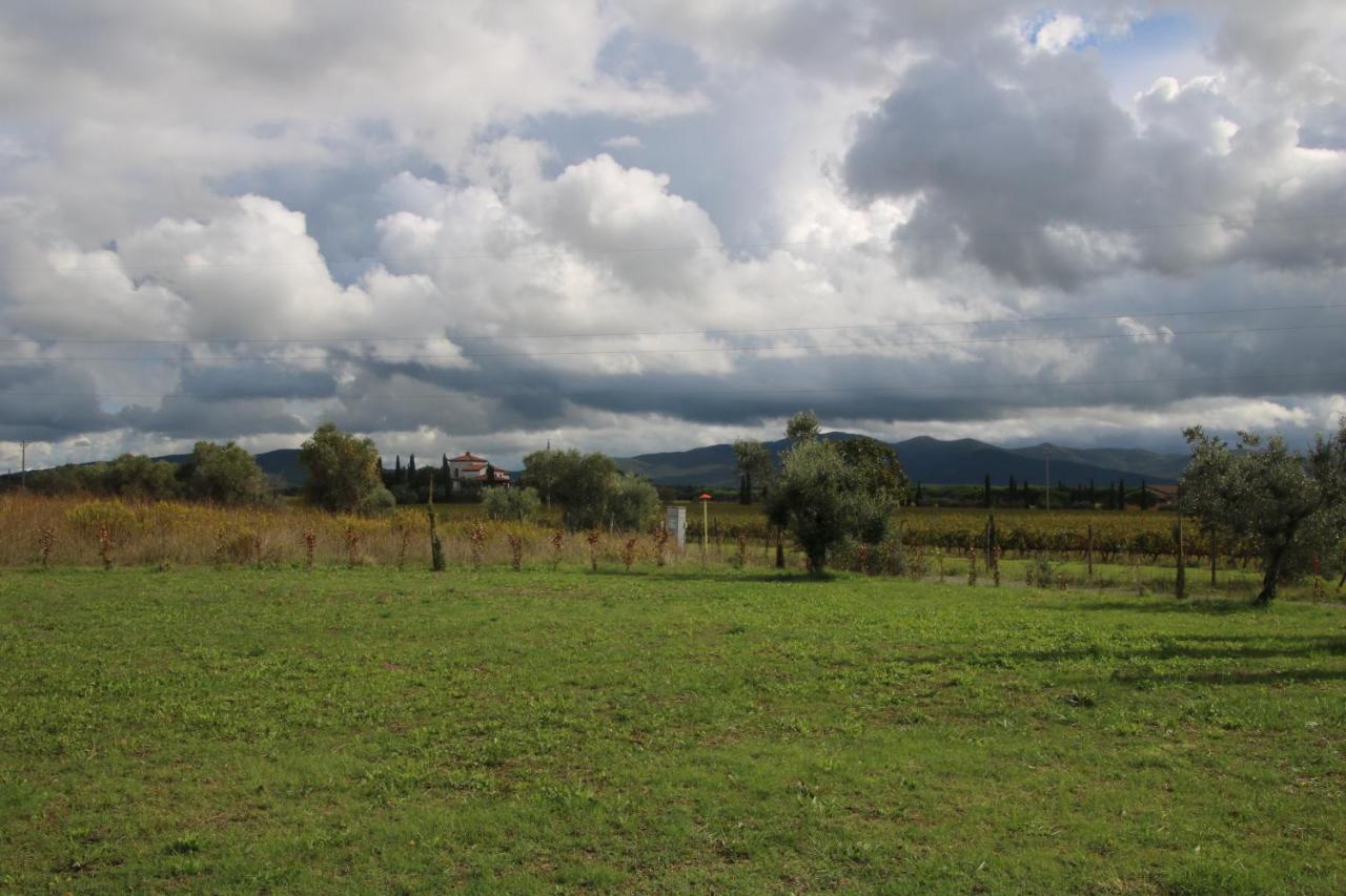 Podere Campo Alle Serpi Bibbona Luaran gambar