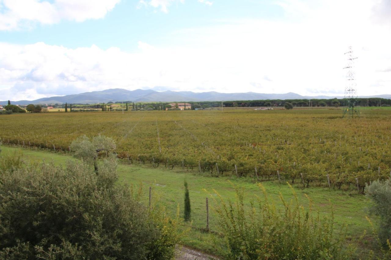 Podere Campo Alle Serpi Bibbona Luaran gambar