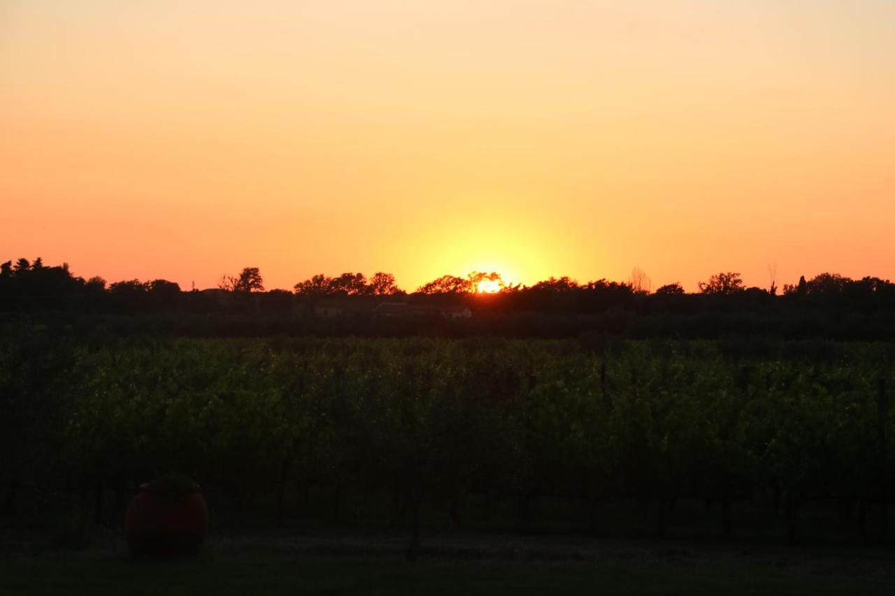 Podere Campo Alle Serpi Bibbona Luaran gambar