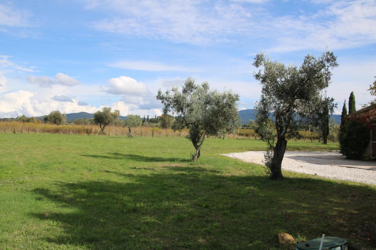 Podere Campo Alle Serpi Bibbona Luaran gambar