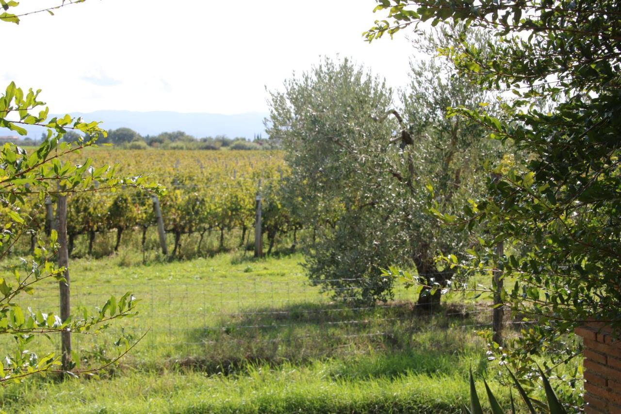Podere Campo Alle Serpi Bibbona Luaran gambar