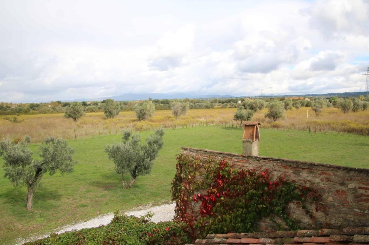 Podere Campo Alle Serpi Bibbona Luaran gambar
