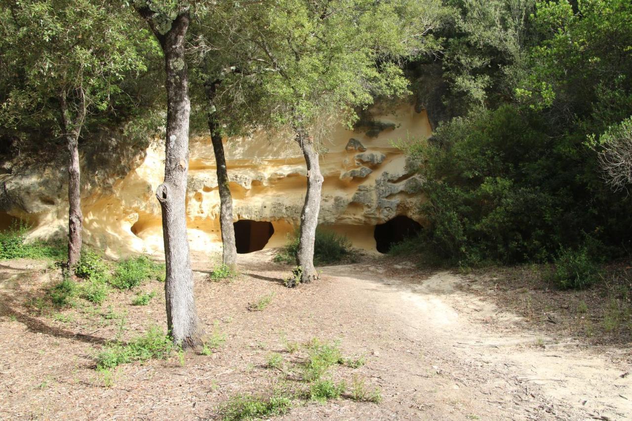 Podere Campo Alle Serpi Bibbona Luaran gambar