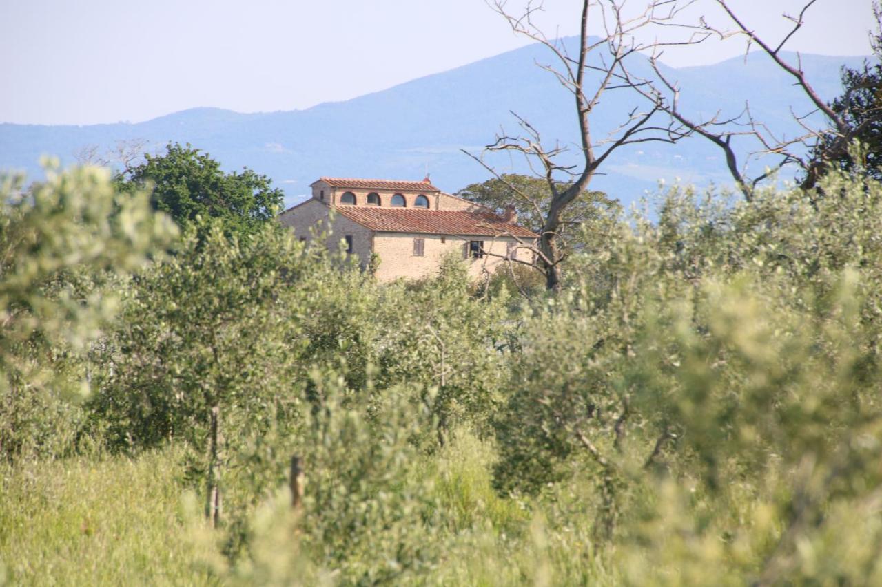 Podere Campo Alle Serpi Bibbona Luaran gambar