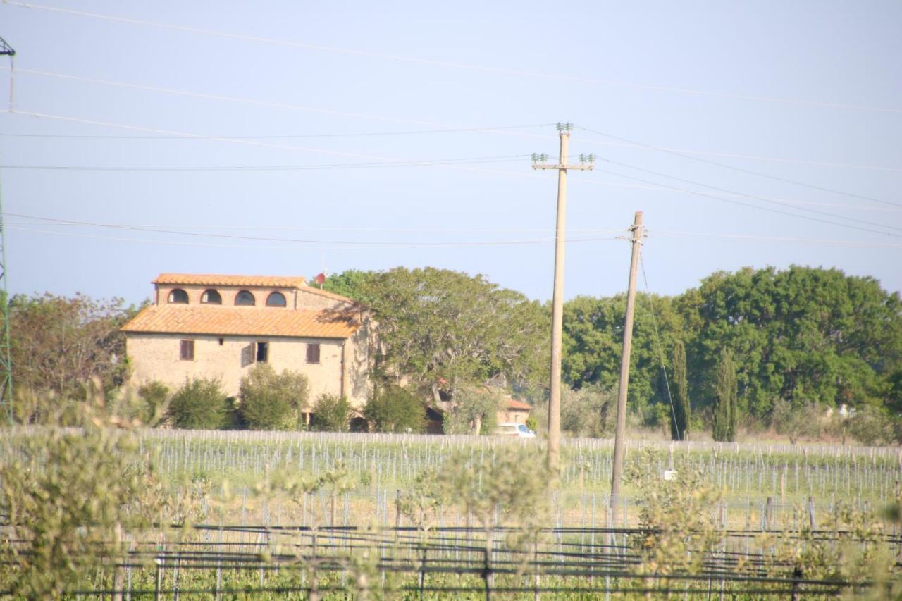 Podere Campo Alle Serpi Bibbona Luaran gambar