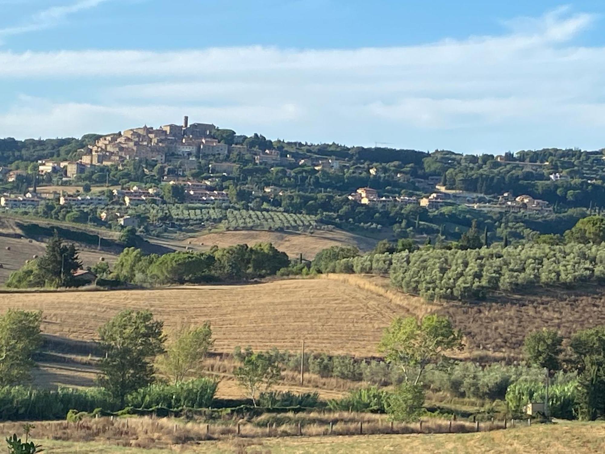Podere Campo Alle Serpi Bibbona Luaran gambar