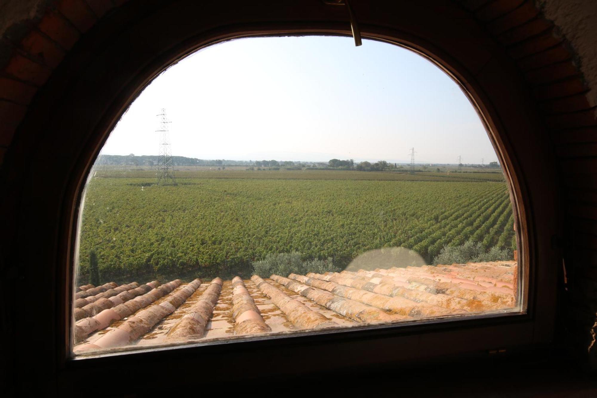 Podere Campo Alle Serpi Bibbona Luaran gambar
