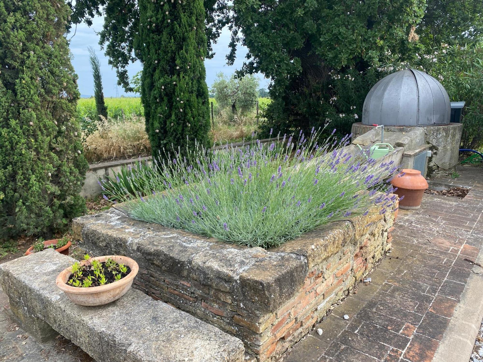 Podere Campo Alle Serpi Bibbona Luaran gambar