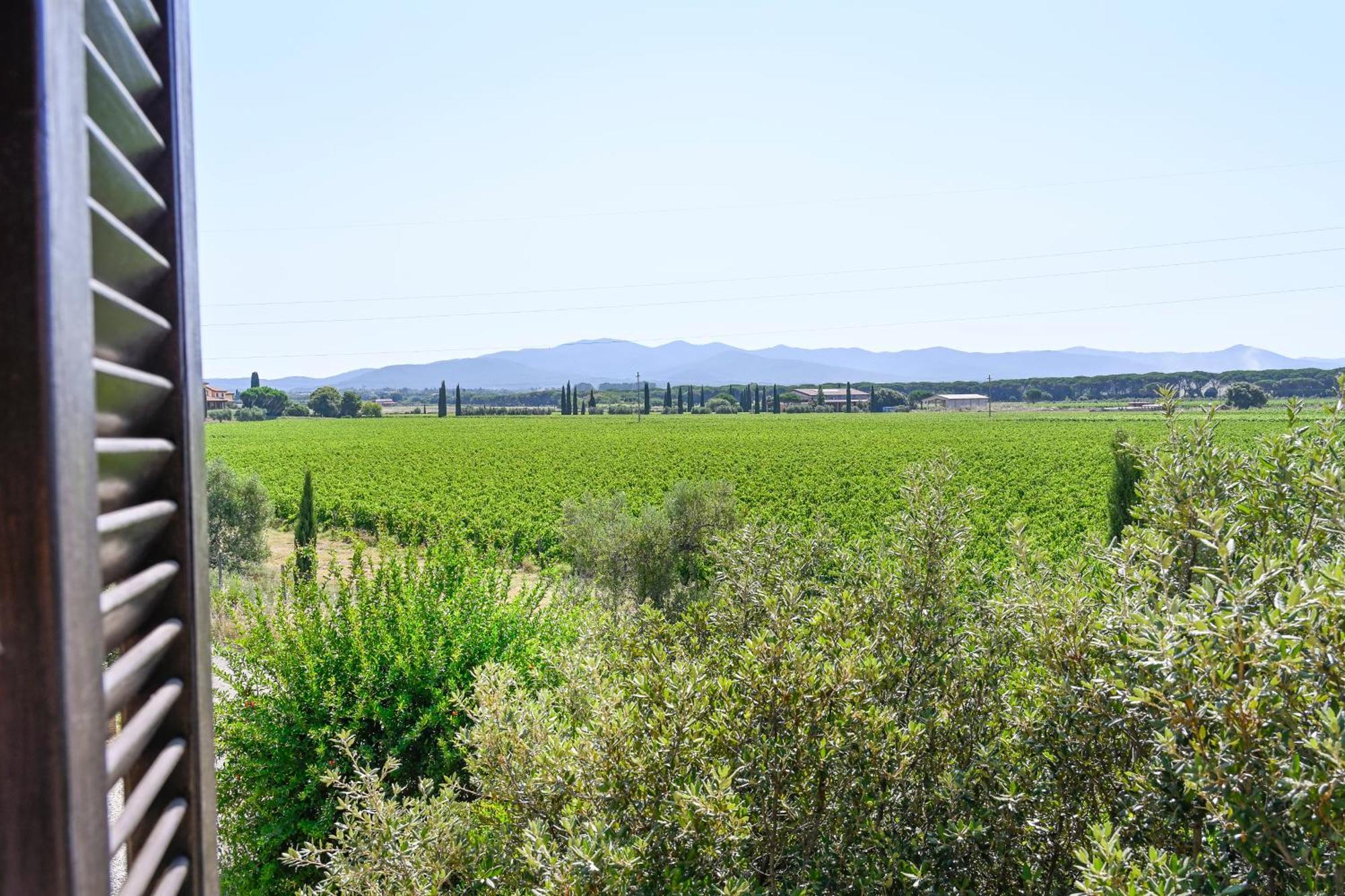 Podere Campo Alle Serpi Bibbona Bilik gambar