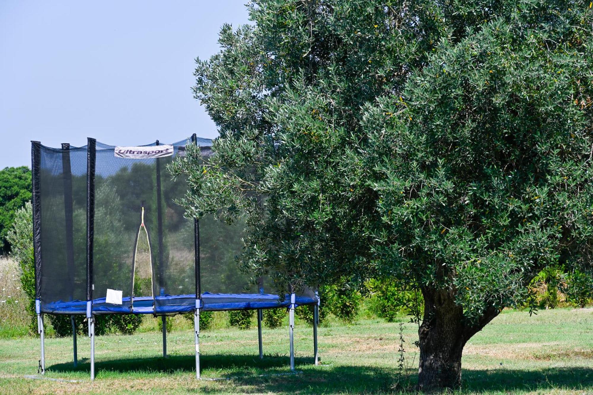 Podere Campo Alle Serpi Bibbona Luaran gambar