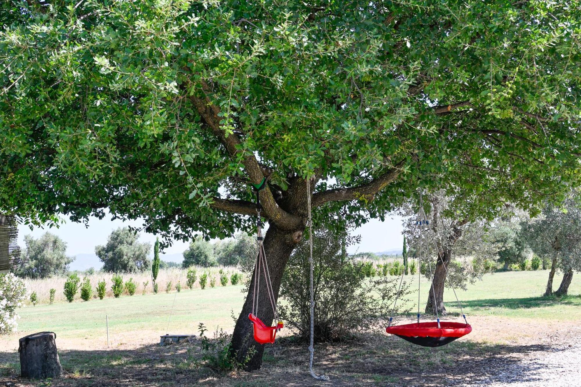 Podere Campo Alle Serpi Bibbona Luaran gambar